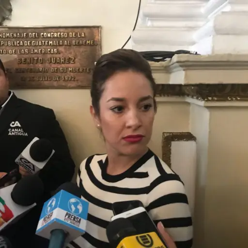 Diputada Carrillo sobre el MP ,