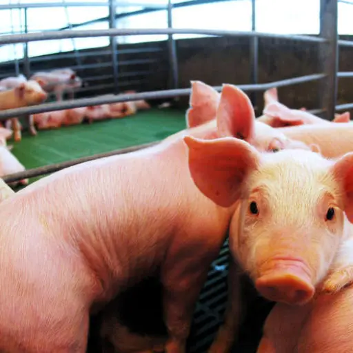 LD Technologies Inc. V1.01