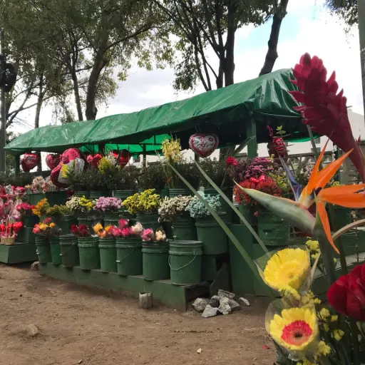 Venta de flores EU Emisoras Unidas Guatemala ,