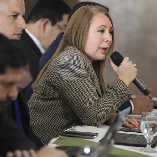 TG1004. TEGUCIGALPA (HONDURAS) 12/2/18.- La viceministra salvadoreña de Economía, Luz Estella Rodríguez habla durante una entrevista este, 12 de febrero de 2018, en Tegucigalpa (Honduras). La incorporación de El Salvador a la Unión Aduanera que pusieran e