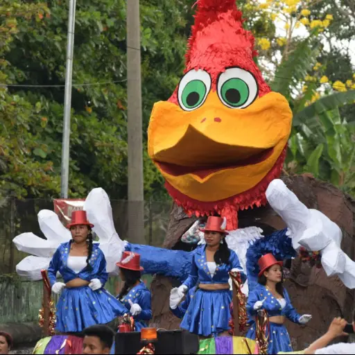 WhatsApp Image 2018-02-11 at 16.11.32 (1) ,