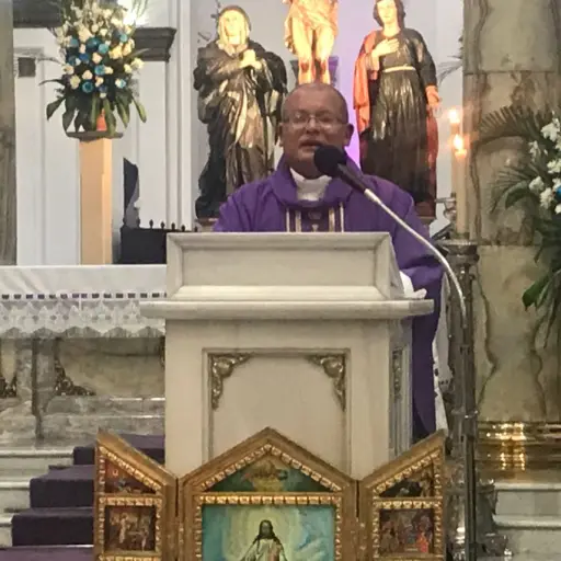 Padre José Luis Colmenares ,