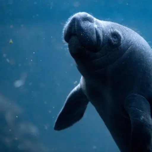 Imagen con fines ilustrativos. ,Agencias.