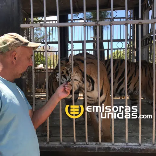 Dueño de circo cuidador tigres ,