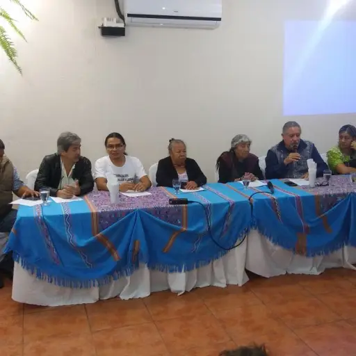 Condenan captura de líder comunitario ,