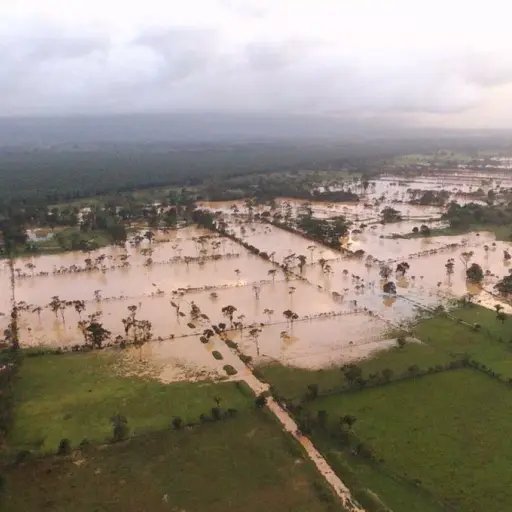 Lluvias pérdida de cultivos ,