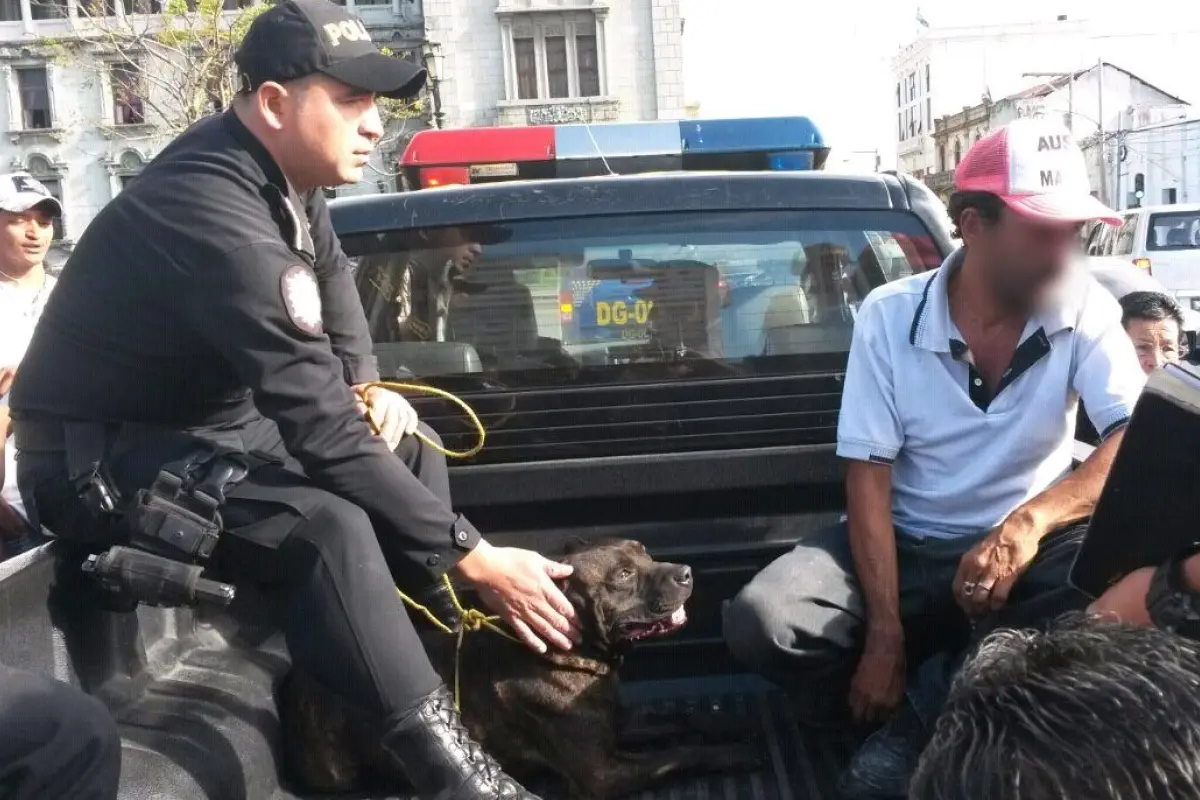 28423502_1747936931894750_3898846611572239103_o (1), 