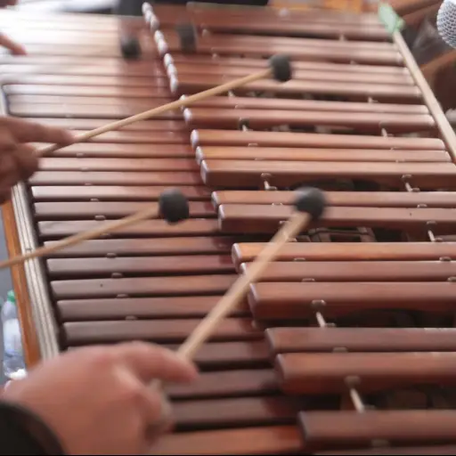 MARIMBA5 ,