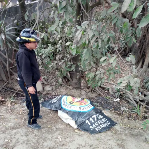 Mujer señales de violencia ,