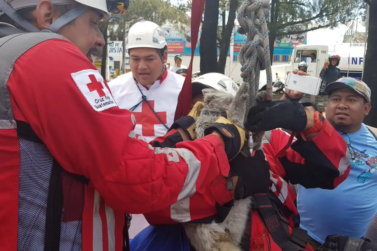 Perisuertudo EU emisoras Unidas Guatemala, 