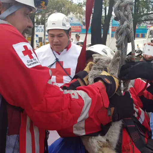 Perisuertudo EU emisoras Unidas Guatemala ,