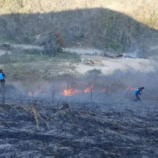 incendios forestales ,