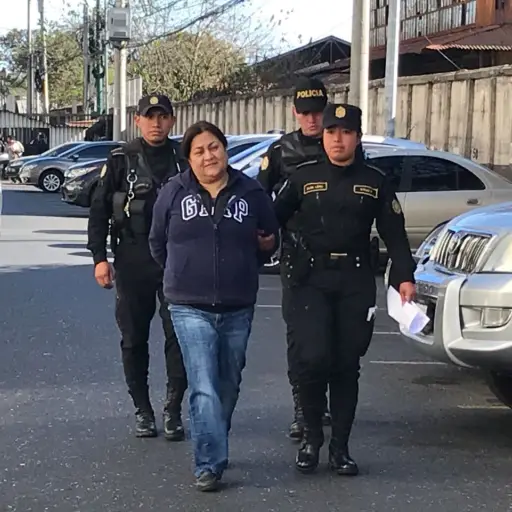 Director Aeronáutica Civil petición captura de su mamá ,