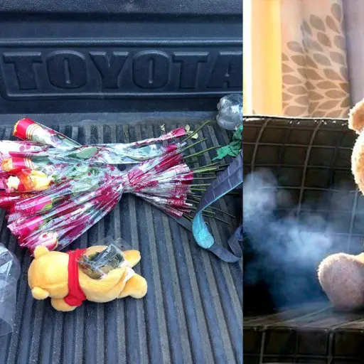 Marihuaana oso peluche ,