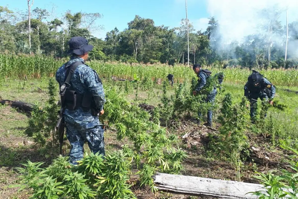 Erradicación de droga EU Emisoras Unidas Guatemala, 