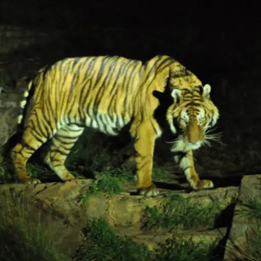 Noches de Luna EU Emisoras Unidas Guatemala ,