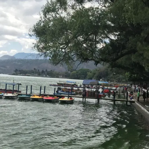 El Acuerdo Gubernativo 537-2006  establece celebrar el Día del Lago de Amatitlán el primer domingo de diciembre. ,