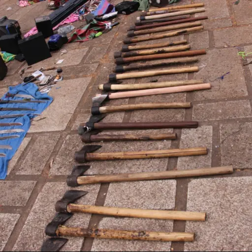 Requisa en Granja Penal Canadá machetes y hachas ,