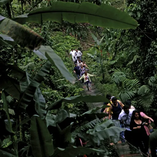 GUA06. QUETZALTENANGO (GUATEMALA), 24/06/2012.- Turistas recorren un camino hoy, domingo 24 de junio de 2012, en la Reserva Natural Patrocinio, enclavada a cuatro kilómetros del volcán Santiaguito, en Quetzaltenango (Guatemala). De bosque húmedo subtropic