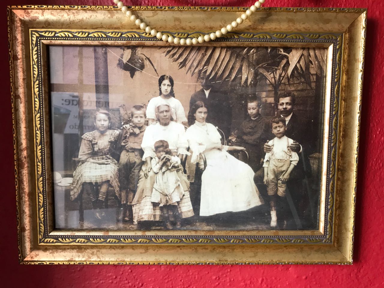 d5021ca7-5007-43a0-9d1e-8fadb84e2958 | 