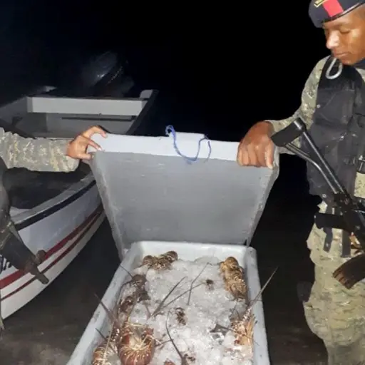 Intercepción de lancha con langosta ,