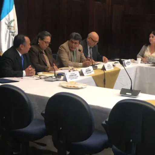 Comisión del Menor y la Familia ,