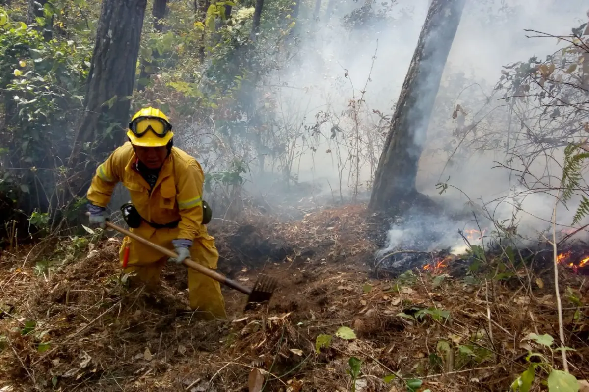 Incendios Forestales, 