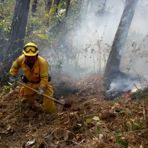 Incendios Forestales ,