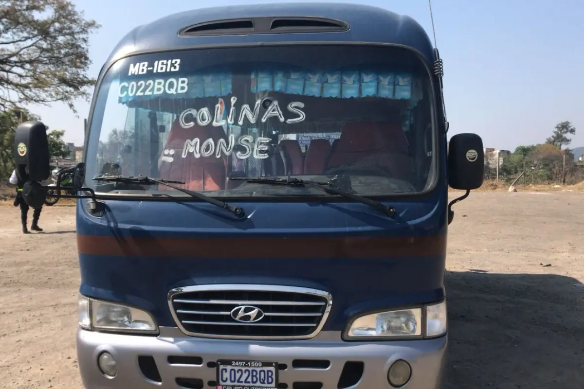 Buses Minerva, 