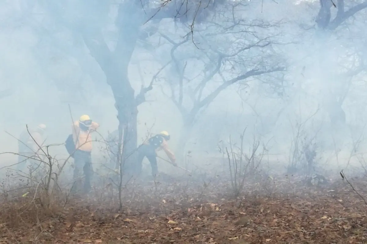 Incendios forestales en áreas protegidas. EU Emisoras Unidas Guatemala, 