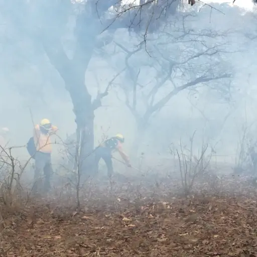 Incendios forestales en áreas protegidas. EU Emisoras Unidas Guatemala ,