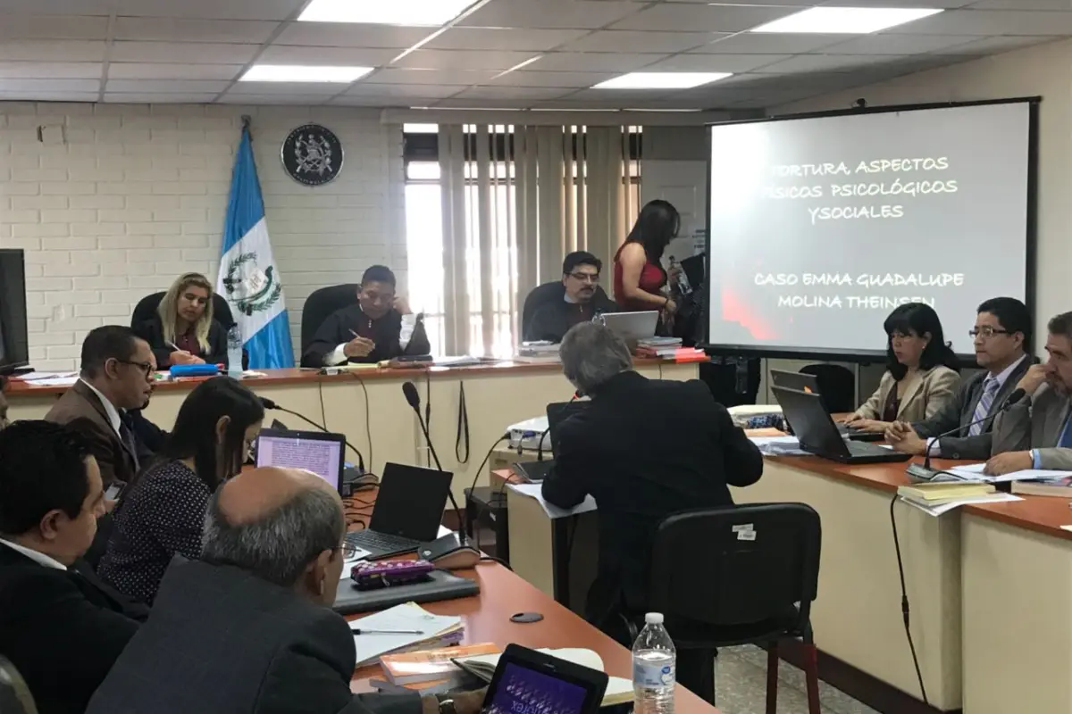 Caso Molina Theissen, 