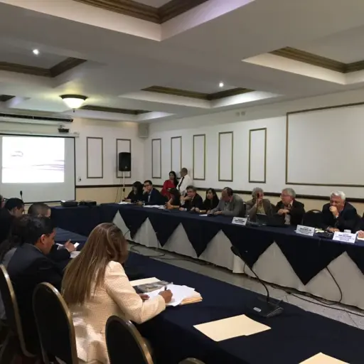 Comisión Extraordinaria ,