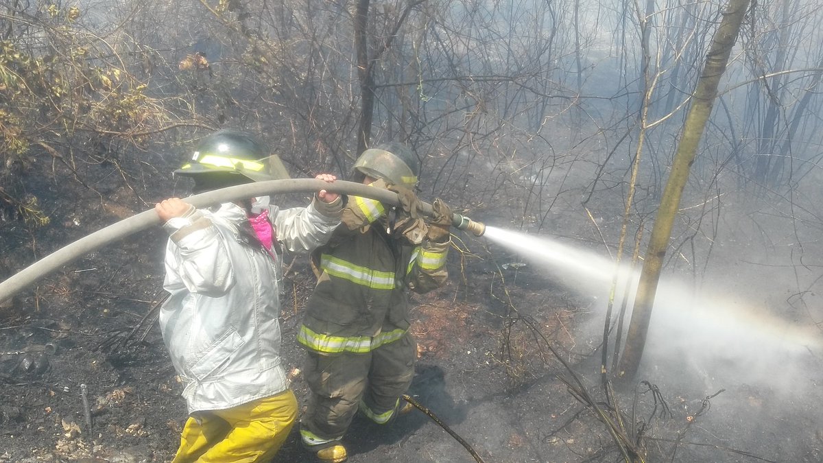 voluntarios34 | 