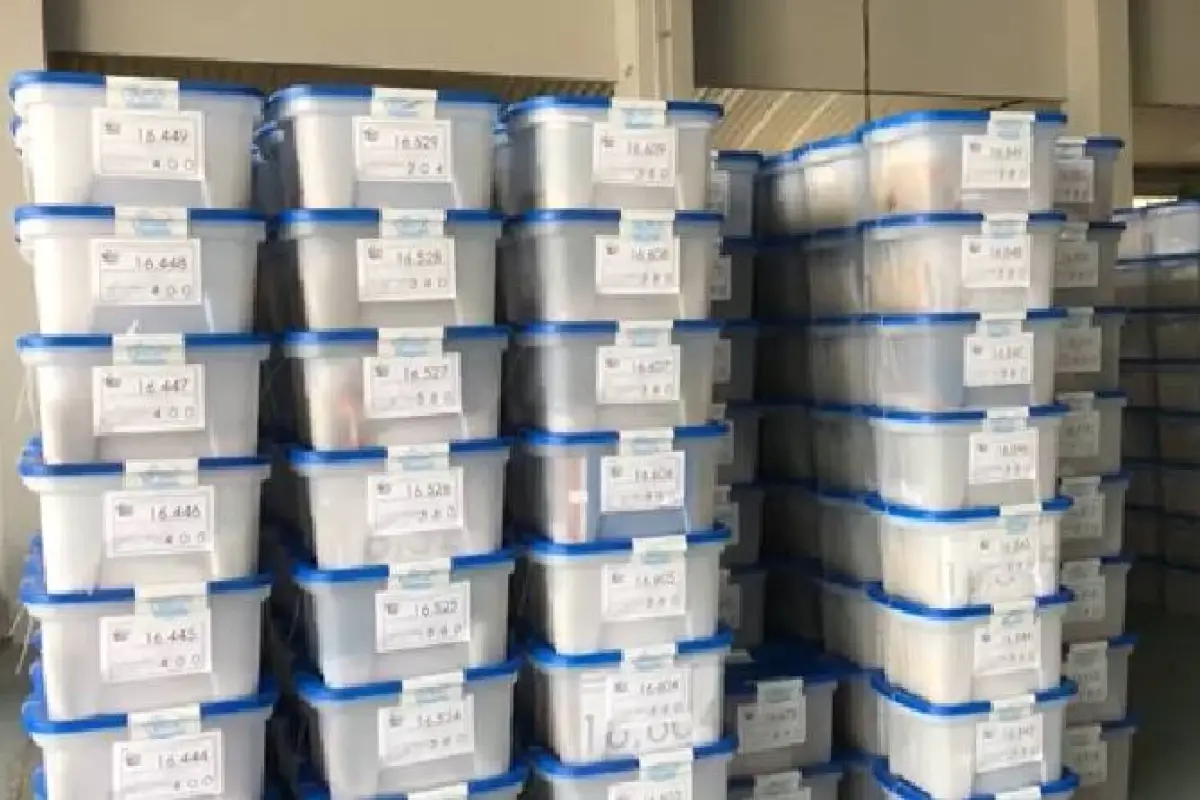 TSE insumos Consulta Popular, 