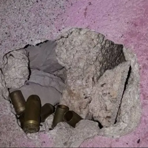 Captura los Reyes de la Carne secuestro abogada ,