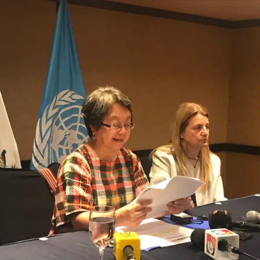 Victoria Tauli-Corpuz, Relatora de la ONU ,