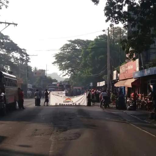 Manifestación Codeca ,