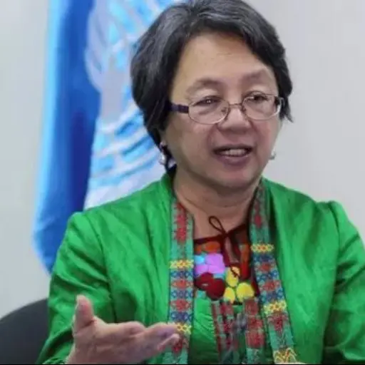 ONU relatora pueblos indígenas ,