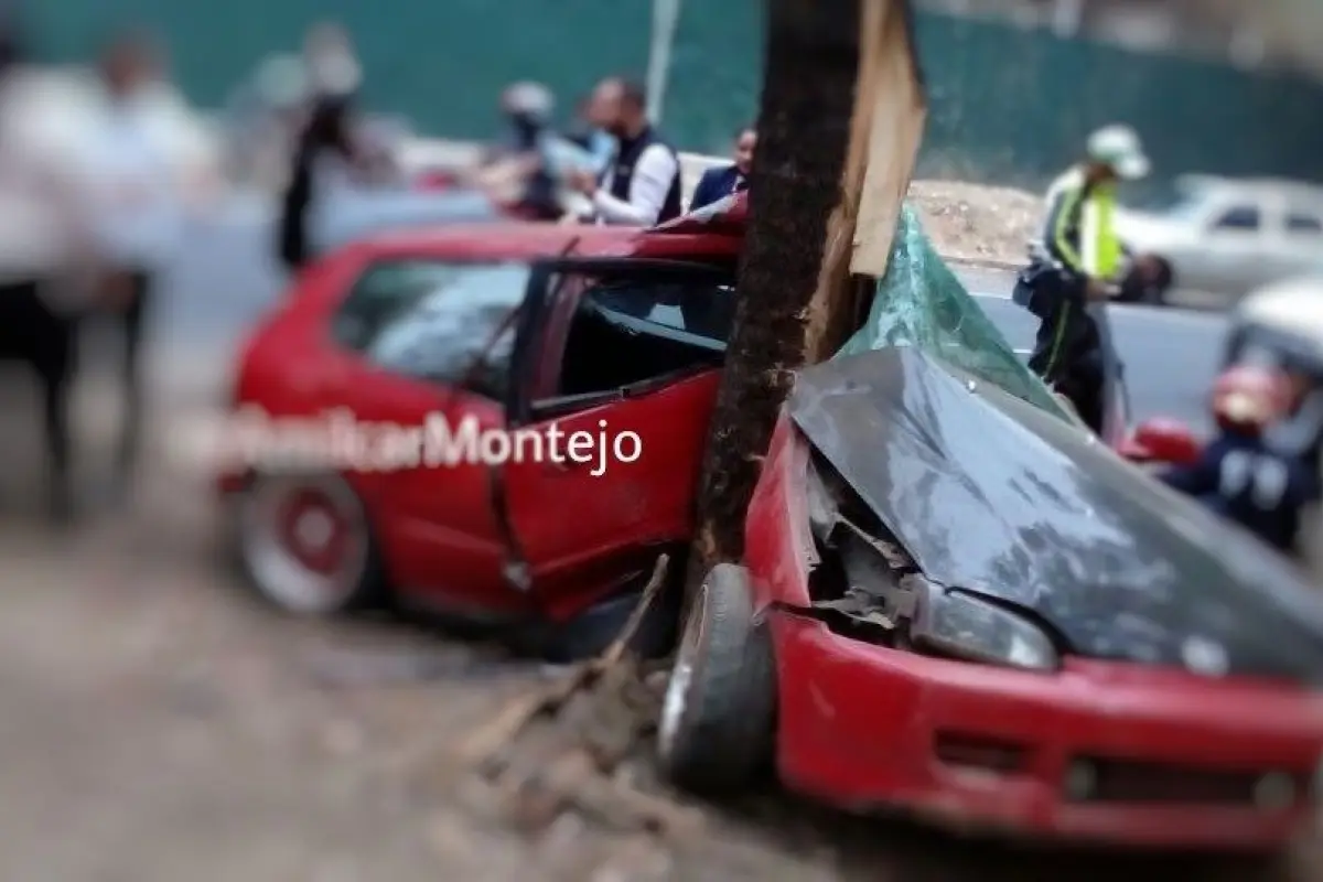 b7b19c19-550c-48fb-8337-d98f0fb5008e, 