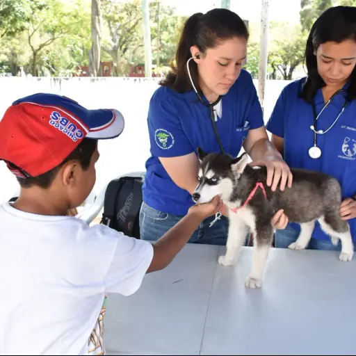 Campaña antirrábica ,