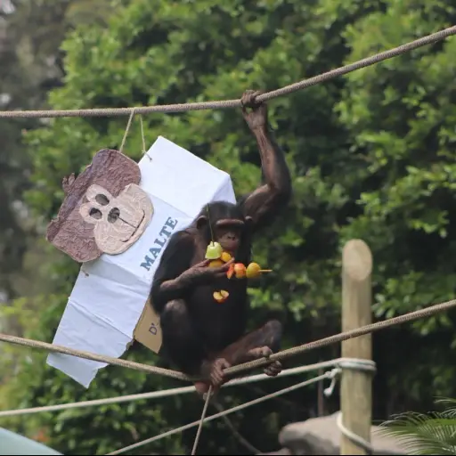 WhatsApp Image 2018-05-20 at 12.54.10 ,