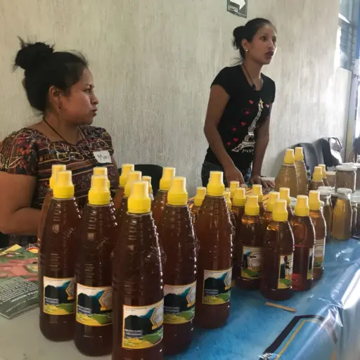 93a007f6-bbb9-4040-8c00-1baf9efe63f9 ,