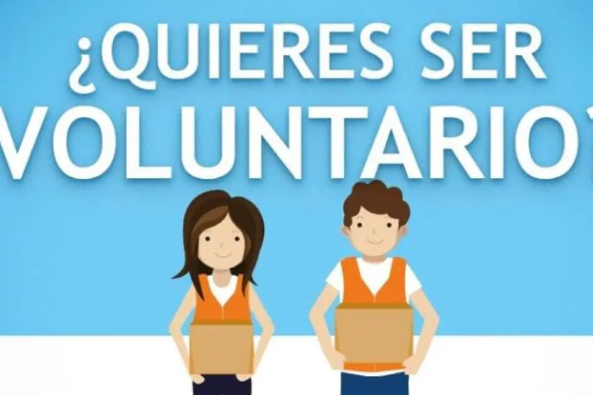 voluntario final, 