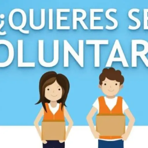 voluntario final ,