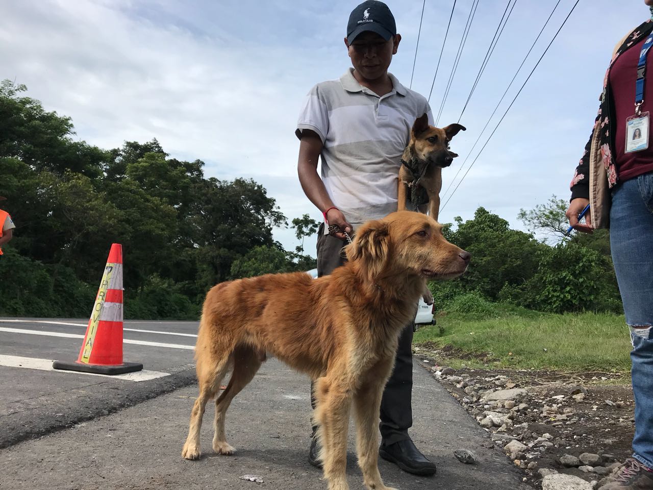 RESCATE VOLCAN9 | 