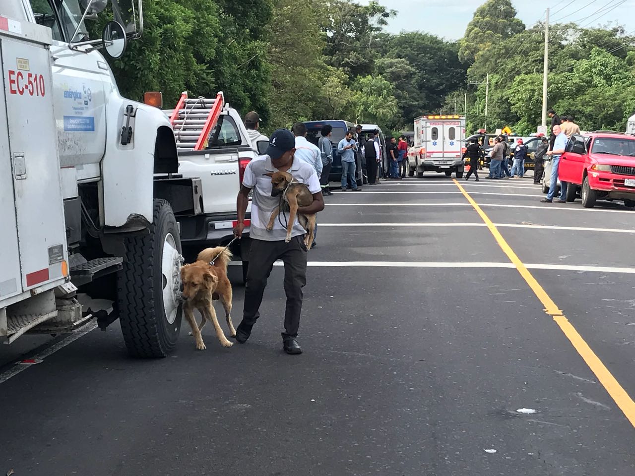 RESCATE VOLCAN8 | 