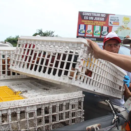 WhatsApp Image 2018-06-07 at 12.28.03 PM ,