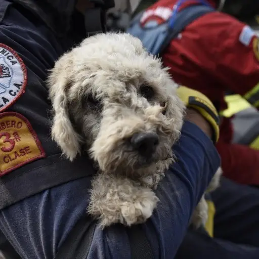 GUATEMALA-VOLCANO-FUEGO ,