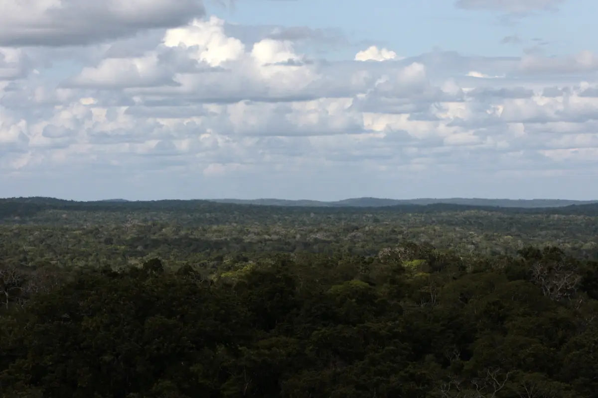 GU6001. PETÉN (GUATEMALA), 04/06/2016.- Vista de la selva de Petén (Guatemala) el 3 de junio de 2016. El Gobierno de Guatemala declaró hoy el estado de calamidad en el departamento norteño de Petén, la cuna de la antigua civilización maya y uno de los últ